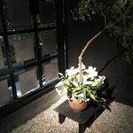 博多もつ鍋 やま中 - 店内…エントラスのお花