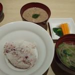 Zensu Tai Ru Shinta - 自然薯とろろ飯セット