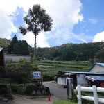 山の上の小さな牧場カフェ - 