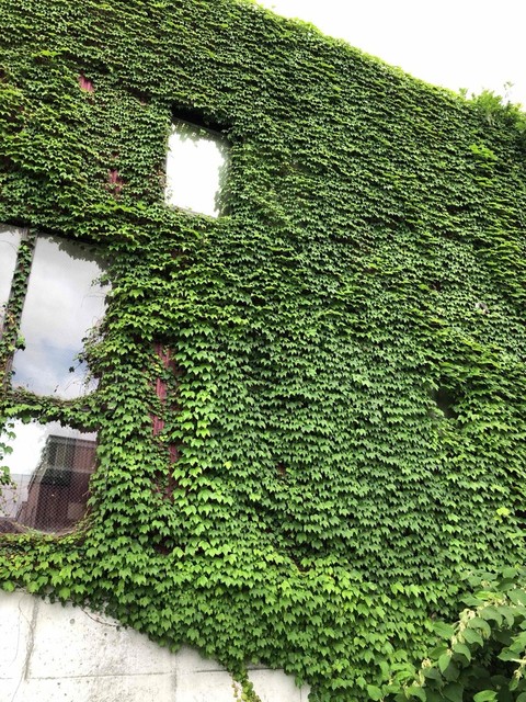 オタル サトウ ブレンド ビアンカフェ（OTARU SATO BLEND bien café） - 南小樽（カフェ）の写真