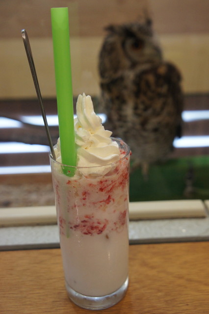 ふくろう茶房 国分寺 その他 食べログ