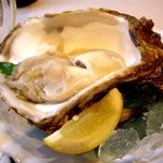 よこちょう - 岩牡蠣