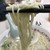 丸幸ラーメンセンター - 料理写真: