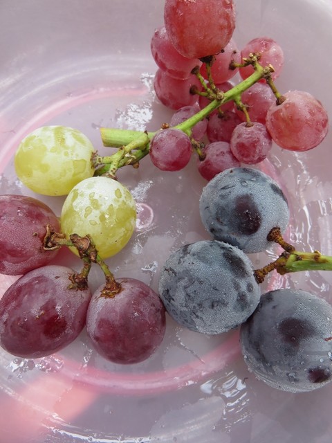 浅間園 笛吹市その他 その他 食べログ