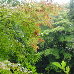 Atelier de Fromage Karuizawa Baiten