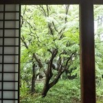 Edenotsukihompo Shinohara - 瑞龍寺お抹茶席からの景色