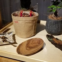 ENEKO Tokyo - 