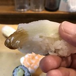 Sushi Sakana Dokoro Ajiro - 平目