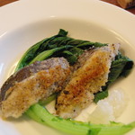 ドノスティア - 