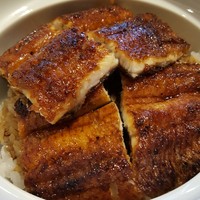 鰻う おか冨士 - 2018.9.うなぎ丼アップ