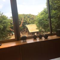 紗羅餐 本店 - カウンターから。