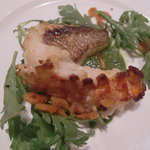 ape - 天然真鯛とオマールエビのソテー