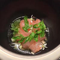 TACUBO - 