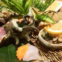 吉祥寺 三うら - 刺身盛り合わせ（後ろ側）