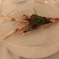 アルポルト - 