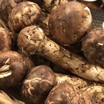 SATOブリアン - 松茸