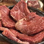 SATOブリアン - ヒレミニオン