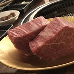 SATOブリアン - シャトーブリアン