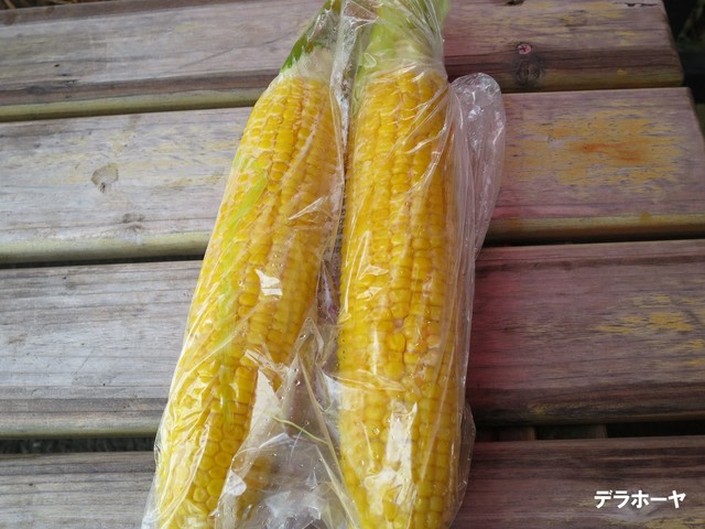 大島農園 &ndash; 富良野市山部の農産物直売所