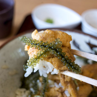 子供可 本部半島でランチに使えるお店 ランキング 食べログ 子供可 本部半島でランチに使えるお店 ランキング 食べログ
