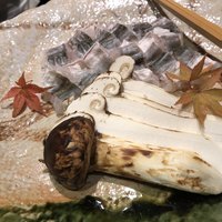 吉星 - 