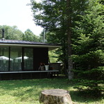 Fogliolina della Porta Fortuna