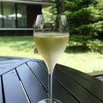 Fogliolina della Porta Fortuna