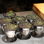 コントワール フー - 