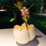 Breston Court Yukawatan