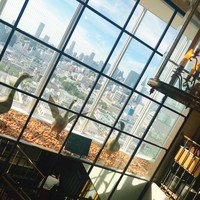 Benoit Alain Ducasse - 