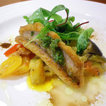 Lot - 2011/Aug お魚ランチ：魚料理