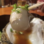 日本料理 たかむら - 見よ！この透明感！上質の氷で〆るとこうなります。