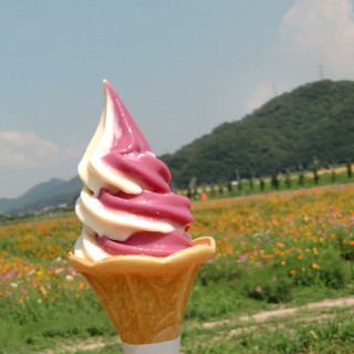 ひまわりカフェ_0