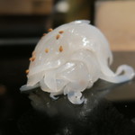 乙女寿司 - 30年9月　赤烏賊