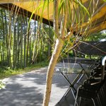 エルルカン・ビス - 優しい日差しのテラス