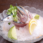 Hiroshima Sakedokoro Jouya - 炙り秋刀魚刺し