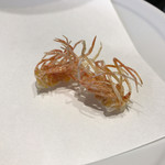 天ぷら  やました - 天ぷらやました(活け才巻海老の足)