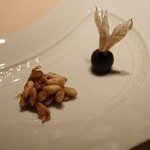 フォリオリーナ・デッラ・ポルタ・フォルトゥーナ - 