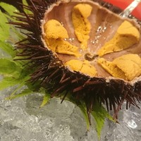 照寿司 - 