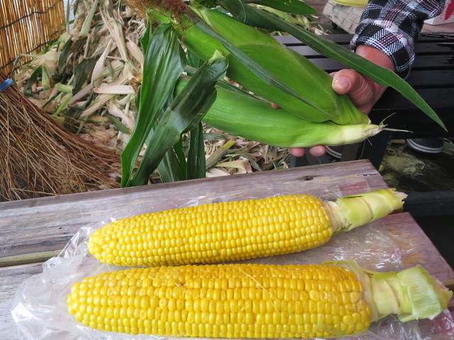 大島農園 - 山部（その他）の写真