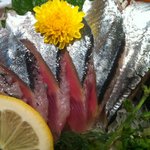 網元料理あさまる - 新さんま刺身