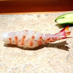 天寿し - 海老