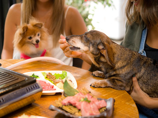 Yakiniku Ponga Eru E - 