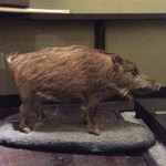 丹波篠山　近又 - 