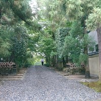 招福樓 本店 - お車は  なんですか？     お迎えに あがります
                ダッシュ〜！全速力で 来てくれました   
                ありがとうございます  この玉砂利を 車で駐車場に入ります 