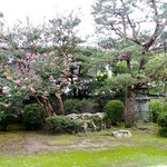 Thifani - 庭園