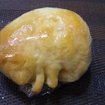 コンガリアン - クラゲみたいな可愛いフォルム