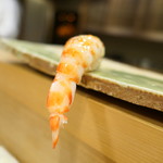 東麻布 天本 - 車海老を上からのアングルで