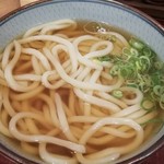 讃香製麺所 - かけうどん特盛¥480