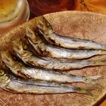 おぎ野 - カタクチイワシ